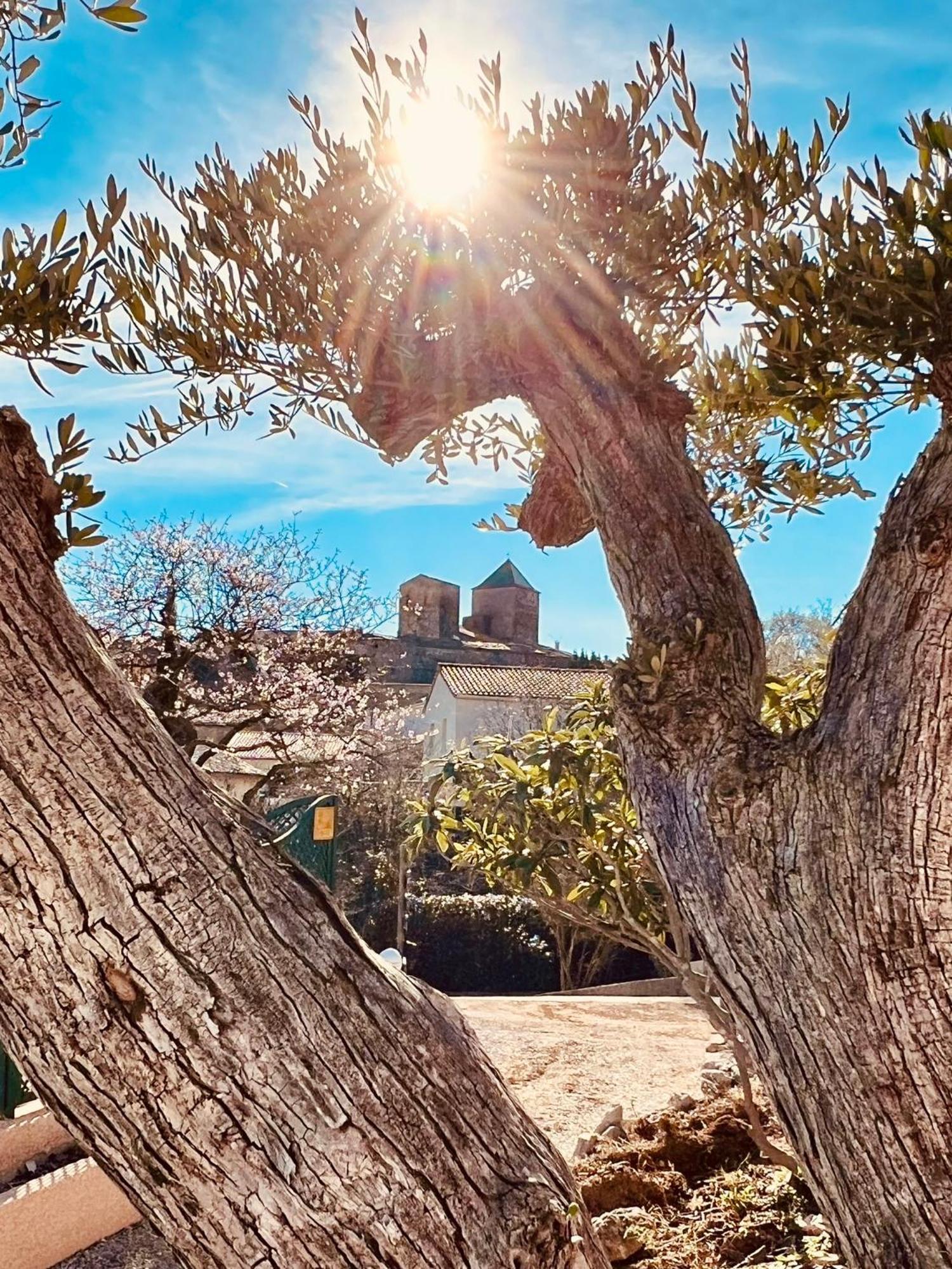 Saint-Jean-de-Fos Melisande Au Pays Des Orjouliers מראה חיצוני תמונה
