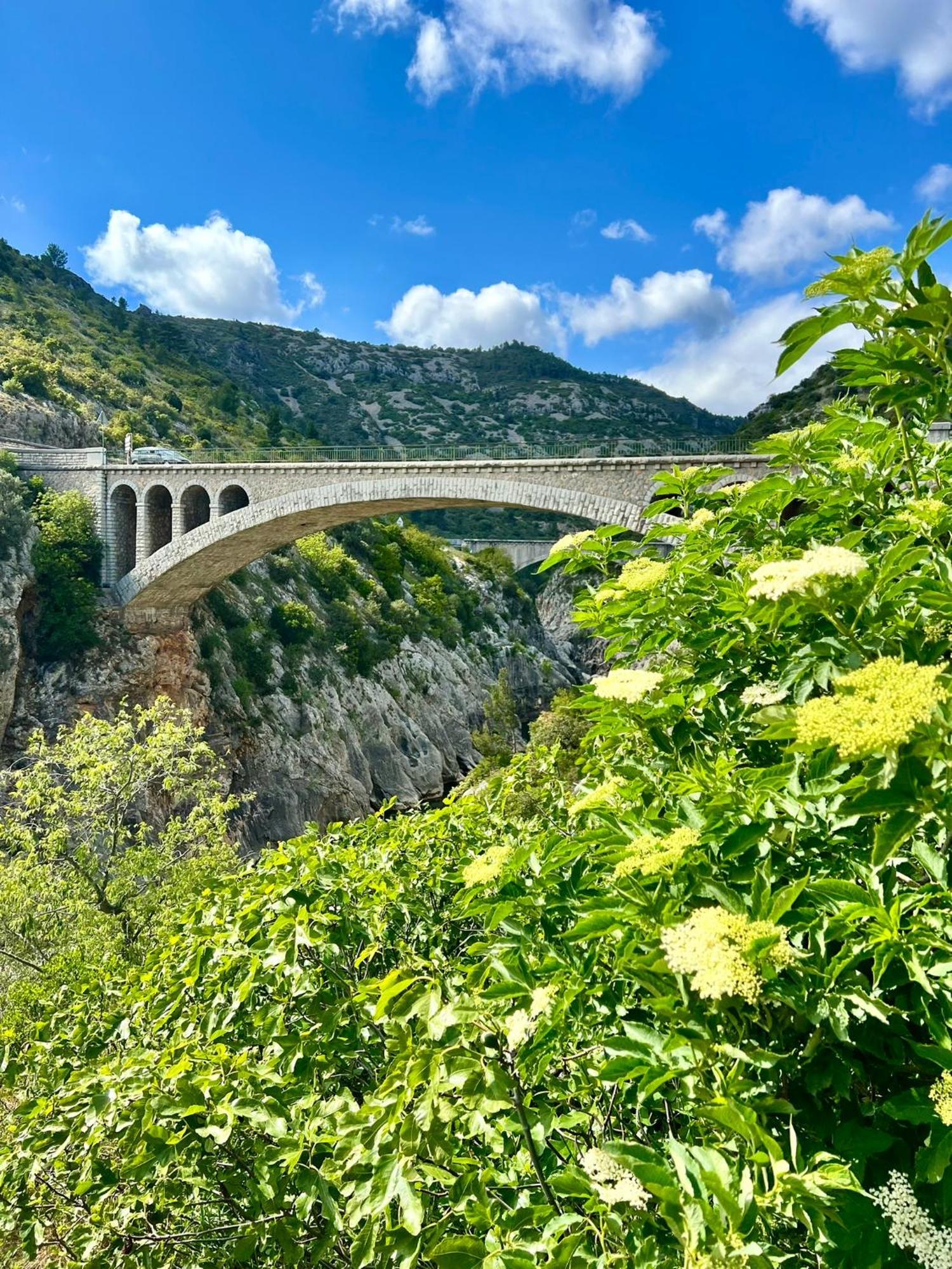 Saint-Jean-de-Fos Melisande Au Pays Des Orjouliers מראה חיצוני תמונה